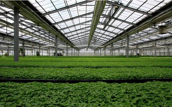 溫室大棚無線物聯網圖片